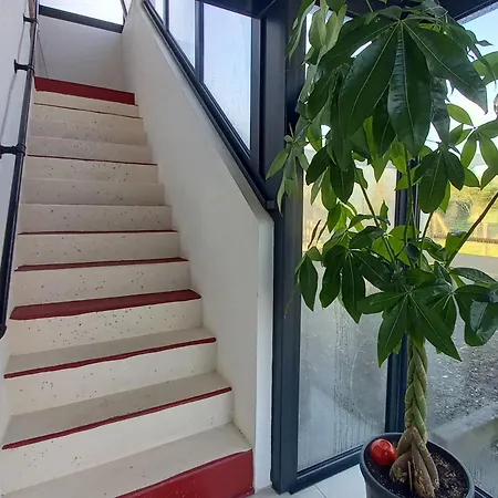 Renove Avec Piscine Chauffee Et Jardin Clos, A Proximite Des Plages Et De La Campagne Bio. - Fr-1-426-531